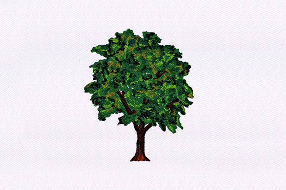 Evergreen Tree Design Review